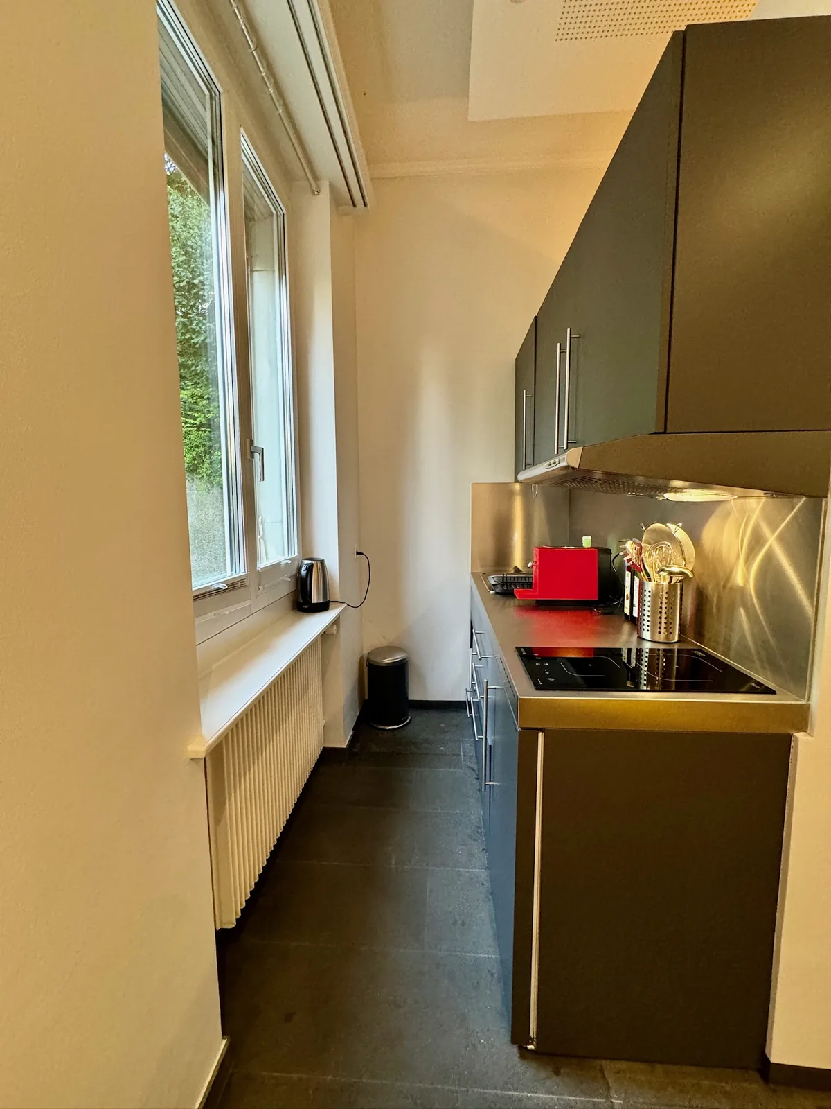 Offene Küche – 1-Zimmer Wohnung West im Hochparterre
