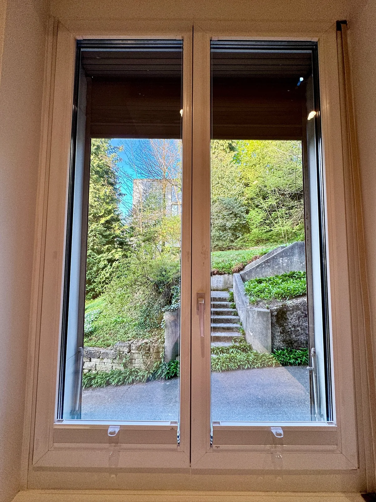 Blick ins Grüne – 1-Zimmer Wohnung West im Hochparterre