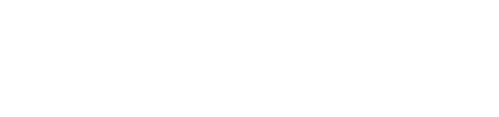 EDIMART Language Solutions
